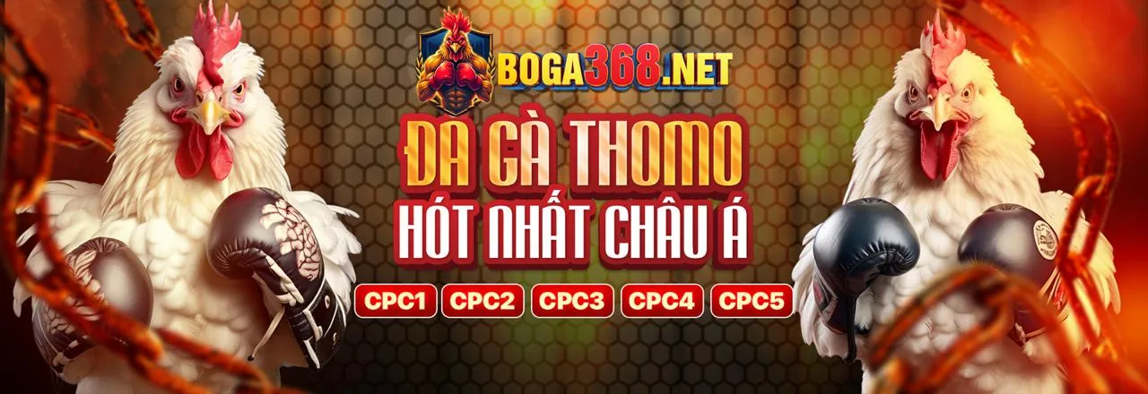 Chương trình VIP icse20