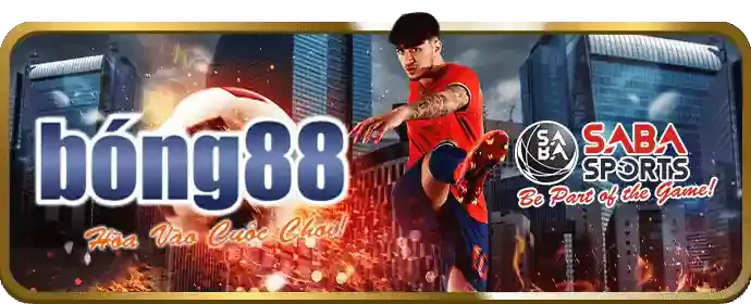 Banner và Tài liệu Quảng cáo